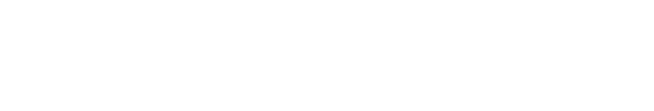TerminTiger